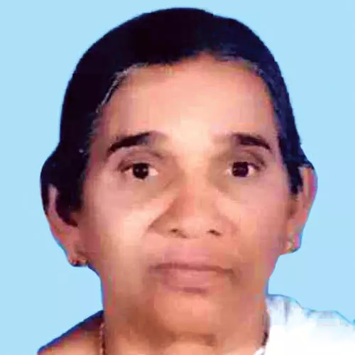 വ​ള്ളി​ക്കു​ട്ടി