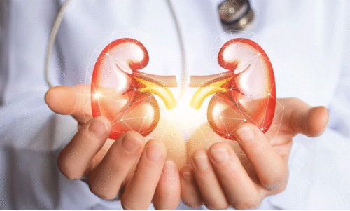 ഡയാലിസിസിന് ധനസഹായം; വാർഷിക പദ്ധതിയിൽ ഉൾപ്പെടുത്തിയത് 40 തദ്ദേശ സ്ഥാപനങ്ങൾ