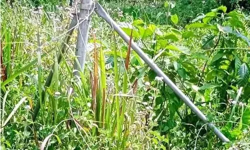 ഇടമലക്കുടി ഇടമലക്കുടി