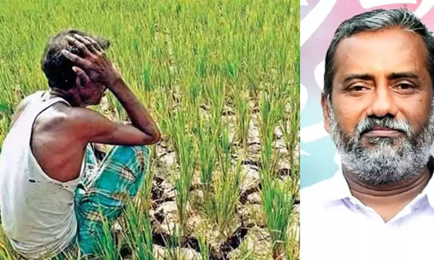 സംസ്ഥാനത്ത് 2016 ന് ശേഷം ജീവനൊടുക്കിയത് 42 കര്‍ഷകരെന്ന് പി. പ്രസാദ്