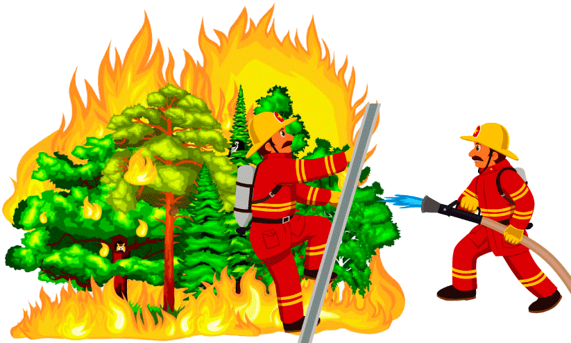 വേനൽ കനക്കുന്നു, തീപിടിത്തവും; വേണം അണയാത്ത ജാഗ്രത വേനൽ കനക്കുന്നു, തീപിടിത്തവും; വേണം അണയാത്ത ജാഗ്രത