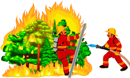 വേ​ന​ൽ ക​ന​ക്കു​ന്നു, തീപിടിത്തവും; വേണം അണയാത്ത ജാഗ്രത