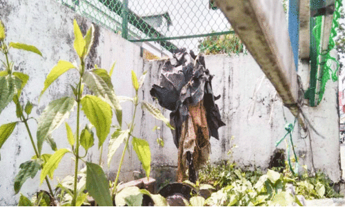 അടൂർ നഗരത്തിൽ കുടിവെള്ളം പാഴാകുന്നു