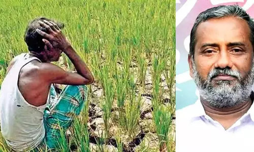 സംസ്ഥാനത്ത് 2016 ന് ശേഷം ജീവനൊടുക്കിയത് 42 കര്‍ഷകരെന്ന് പി. പ്രസാദ്