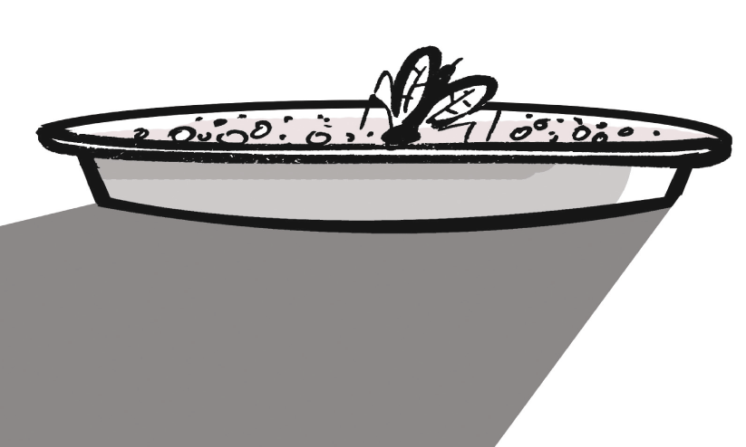 കേ​ര​ള​ത്തി​ന്റെ ക​ഞ്ഞി​യി​ൽ പാ​റ്റ