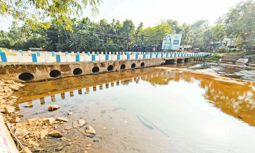 വെള്ളിയാർ പുഴക്ക് കുറുകെ പാലം; കാത്തിരിപ്പിന് പതിറ്റാണ്ട് വെള്ളിയാർ പുഴക്ക് കുറുകെ പാലം; കാത്തിരിപ്പിന് പതിറ്റാണ്ട്