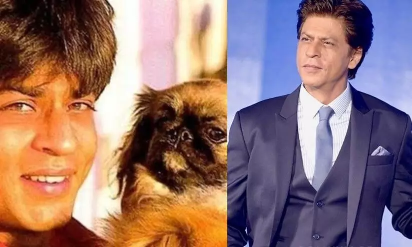 Gauri Khans uncle shares a touching story about Shah Rukh Khan and his dog