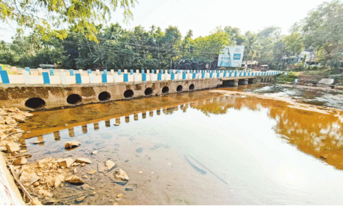 വെള്ളിയാർ പുഴക്ക് കുറുകെ പാലം;  കാത്തിരിപ്പിന് പതിറ്റാണ്ട്
