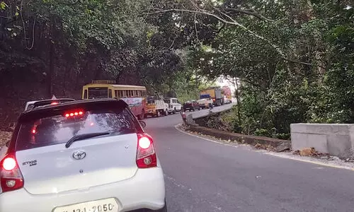 ലോറി കുടുങ്ങി; താമരശ്ശേരി ചുരത്തിൽ ഗതാഗതക്കുരുക്ക് -വിഡിയോ