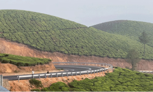 കൊച്ചി-ധനുഷ്കോടി ദേശീയപാത  നിർമാണം വിവാദത്തിൽ