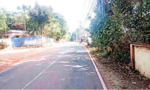 കൊല്ലം-തേനി ദേശീയപാത സ്ഥലം ഏറ്റെടുക്കാൻ പ്രാരംഭ നടപടി തുടങ്ങി കൊല്ലം-തേനി ദേശീയപാത സ്ഥലം ഏറ്റെടുക്കാൻ പ്രാരംഭ നടപടി തുടങ്ങി