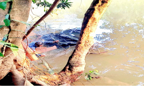 ഓട്ടോ പുഴയിലേക്ക് മറിഞ്ഞ് നാലുപേർക്ക് പരിക്ക്