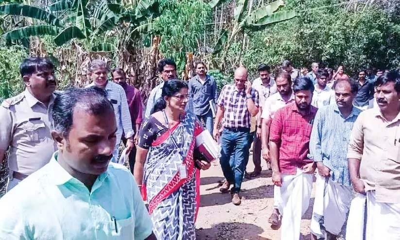 inspection inspection