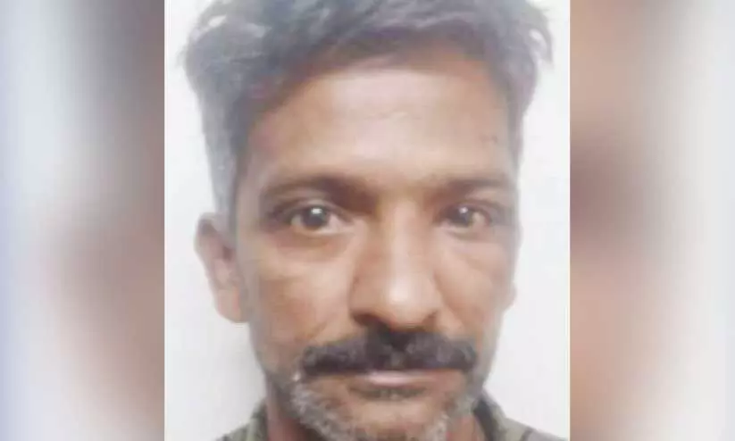 മുജീബ് മുജീബ്