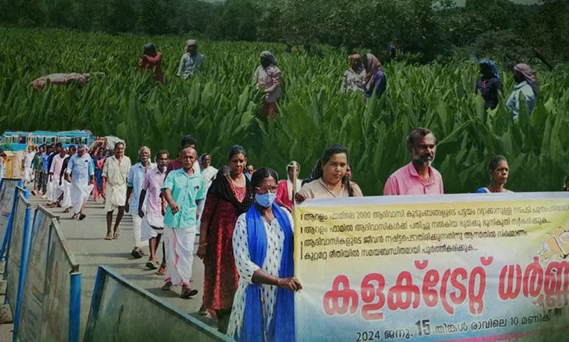 ആറളം ഫാമിൽ പണിയ ആദിവാസി വിഭാഗത്തെ തുടച്ചു നീക്കുന്നതിനെതിരെ സെക്രട്ടേറിയറ്റ് മാർച്ച് നാളെ ആറളം ഫാമിൽ പണിയ ആദിവാസി വിഭാഗത്തെ തുടച്ചു നീക്കുന്നതിനെതിരെ സെക്രട്ടേറിയറ്റ് മാർച്ച് നാളെ
