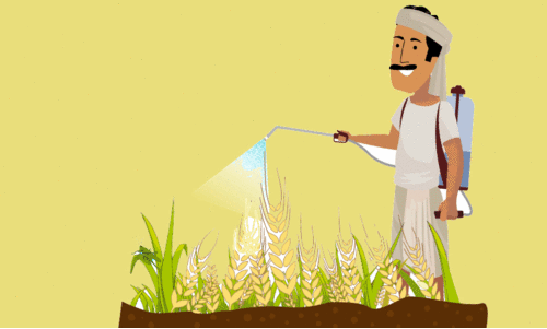 വയലുകളിൽ വിഷപ്രയോഗം