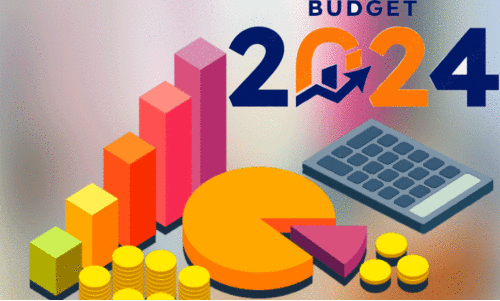 വ​ള്ളി​ക്കോ​ട് പ​ഞ്ചാ​യ​ത്ത് ബ​ജ​റ്റ്