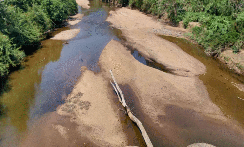 കോന്നിയിൽ കുടിവെള്ളത്തിനായി നെട്ടോട്ടം