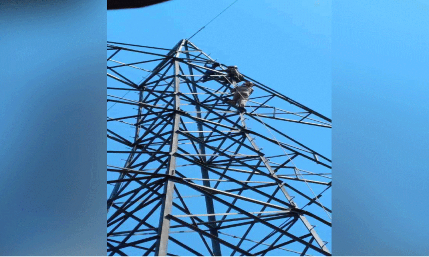 വൈദ്യുതി ടവറിൽ കയറിയ 14കാരനെ ഫയർഫോഴ്​സ്​ രക്ഷിച്ചു