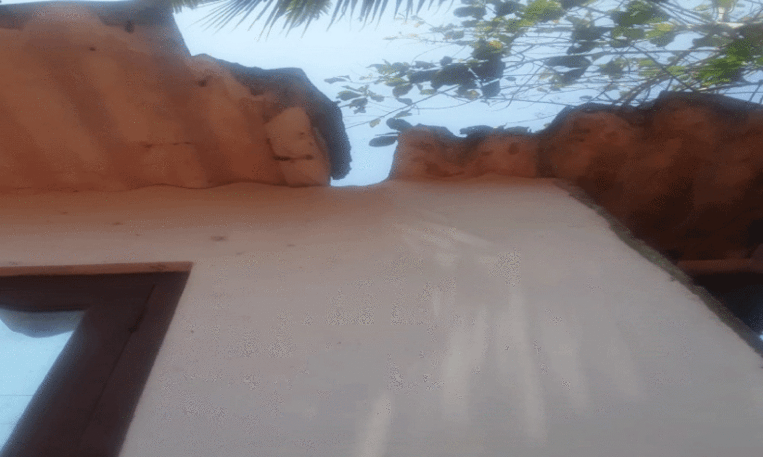 കുളത്തൂപ്പുഴയിൽ വാനരന്മാർ വിഹരിക്കുന്നു