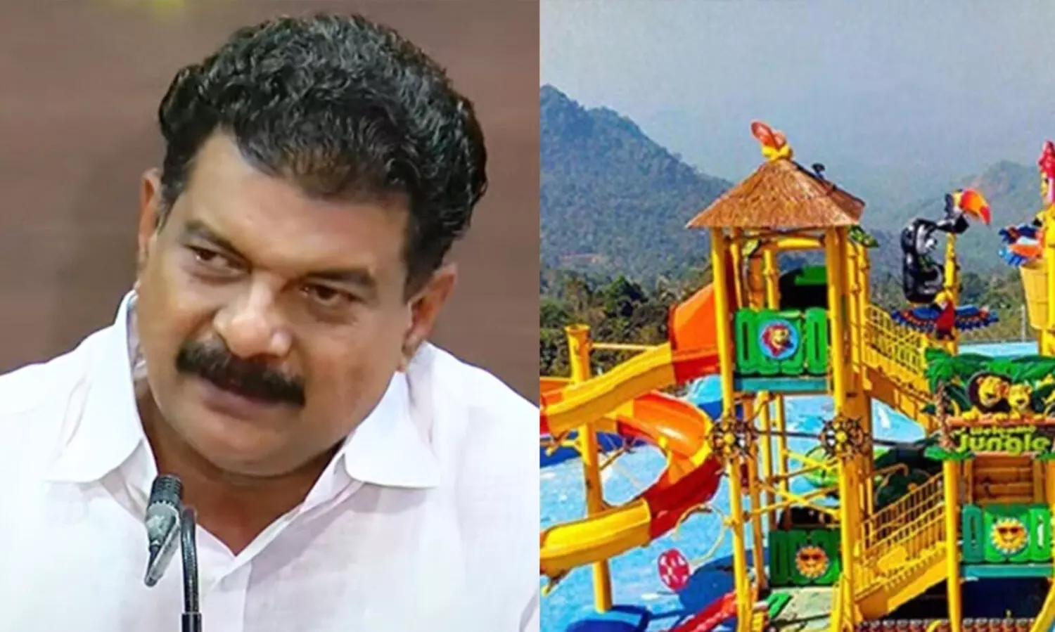 പി.വി. അൻവറിന്‍റെ പാർക്ക്: കൃത്യമായ പരിശോധനക്ക് ശേഷം ലൈസന്‍സ് നല്‍കിയാല്‍ പോരേയെന്ന് ഹൈകോടതി