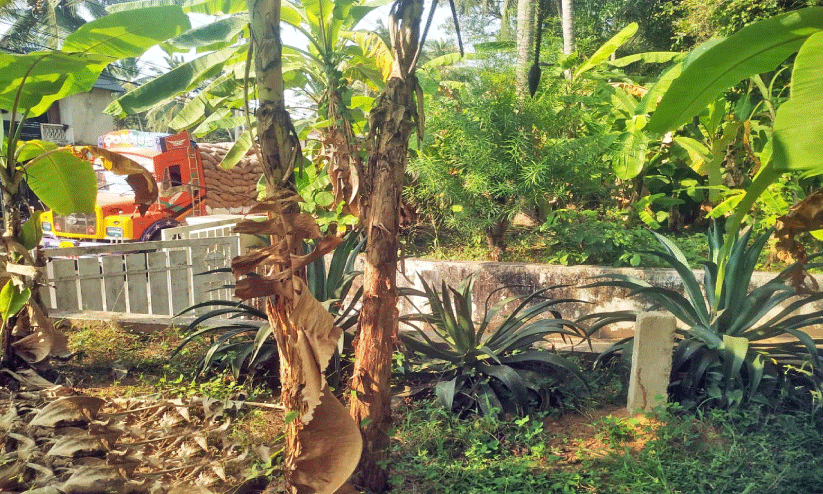 പാവങ്ങാട്-ഉള്ള്യേരി പാത ആശങ്കക്കിടെ സർവേ പൂർത്തിയാക്കി