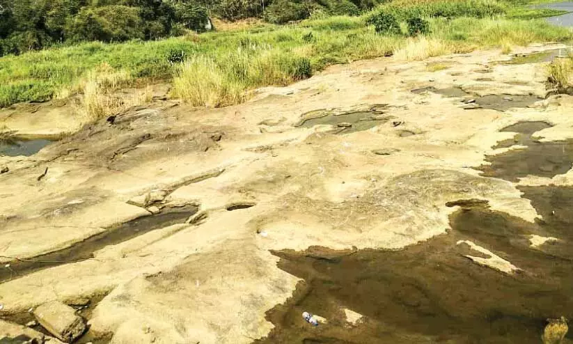 ക​ണ്ണാ​ടി​പ്പു​ഴ