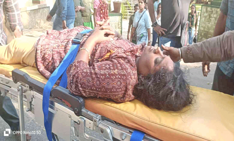 മലക്കപ്പാറയിൽ കാട്ടാന ആക്രമണത്തിൽ വിനോദസഞ്ചാരിക്ക് ഗുരുതര പരിക്ക്