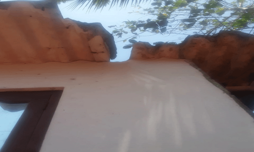 കുളത്തൂപ്പുഴയിൽ വാനരന്മാർ വിഹരിക്കുന്നു