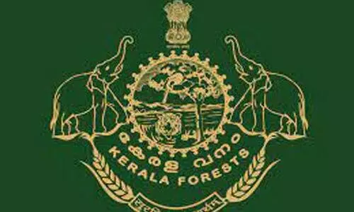 kerala forest department