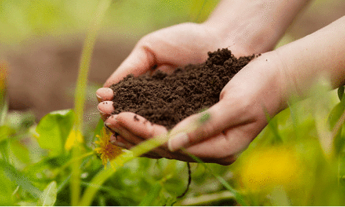 കൃഷിയറിവുകൾ