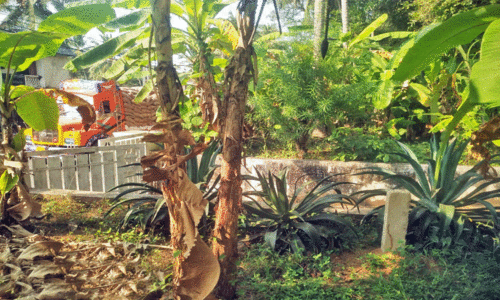 പാവങ്ങാട്-ഉള്ള്യേരി പാത ആശങ്കക്കിടെ സർവേ പൂർത്തിയാക്കി