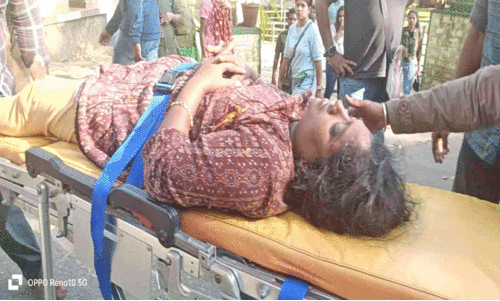 മലക്കപ്പാറയിൽ കാട്ടാന ആക്രമണത്തിൽ വിനോദസഞ്ചാരിക്ക് ഗുരുതര പരിക്ക്