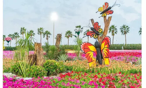 വർണവിസ്മയ മേള; പുഷ്പമേളക്കായി അണിഞ്ഞൊരുങ്ങി യാംബു വർണവിസ്മയ മേള; പുഷ്പമേളക്കായി അണിഞ്ഞൊരുങ്ങി യാംബു