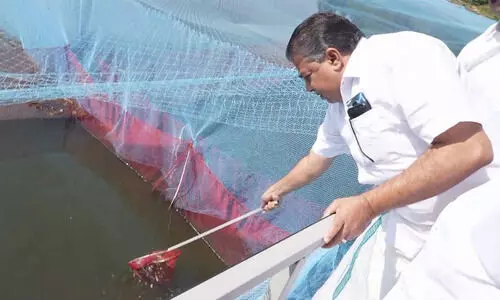 എല്ലാ മേഖലകളിലും സ്വയം പര്യാപ്തത കൈവരിക്കണമെന്ന് സജി ചെറിയാന്‍