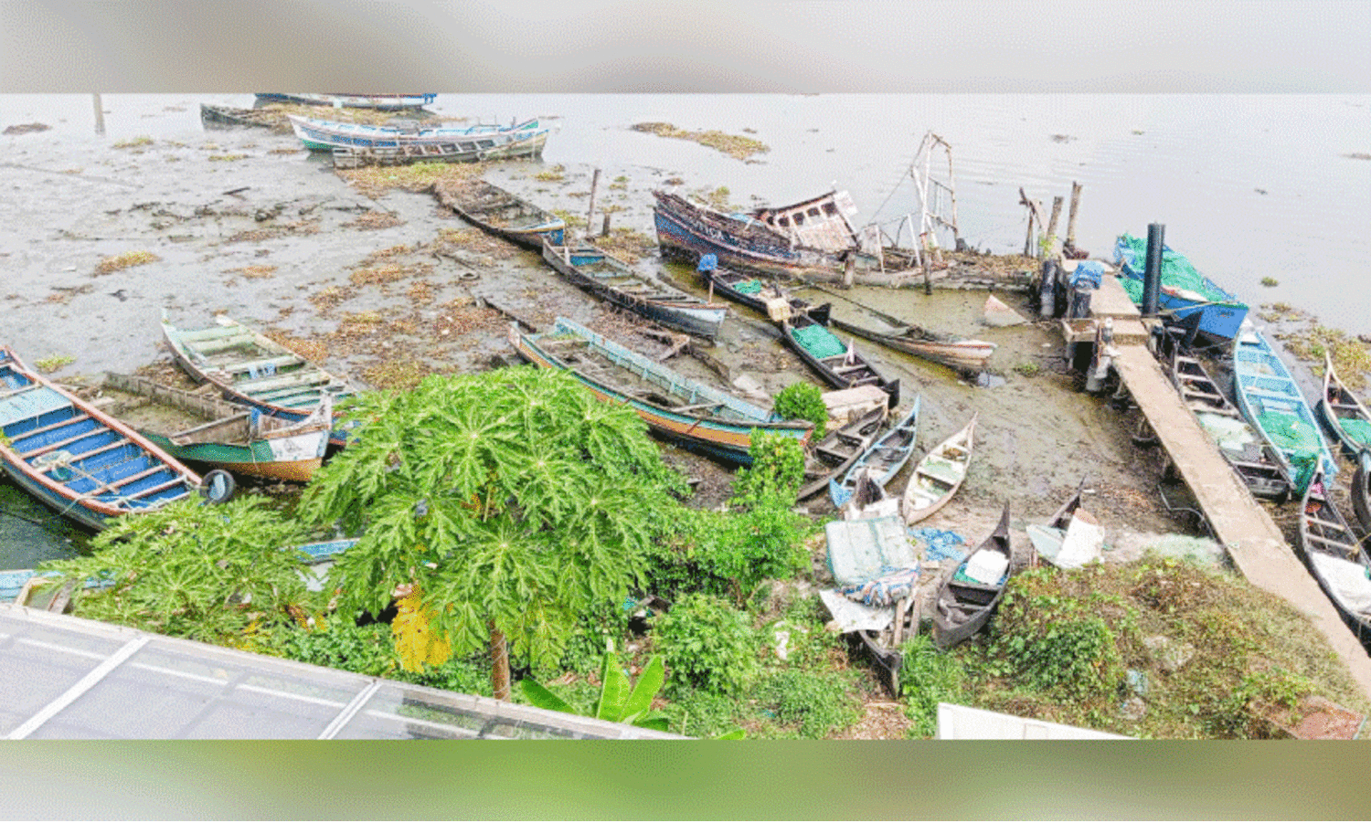 കൊ​ച്ചി കാ​യ​ലി​ൽ എക്ക​ലി​ൽ കു​ടു​ങ്ങി ന​ശി​ക്കു​ന്ന മ​ത്സ്യ ബ​ന്ധ​ന യാ​ന​ങ്ങ​ൾ