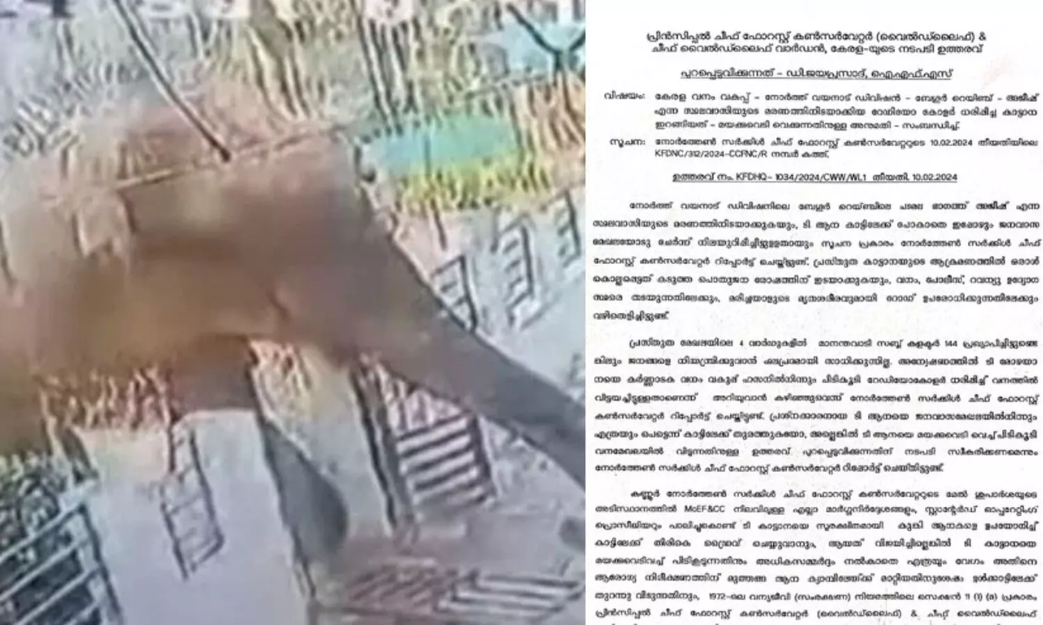 മാനന്തവാടിയിലെ ആനയെ മയക്കുവെടിവെക്കാൻ ഉത്തരവ്