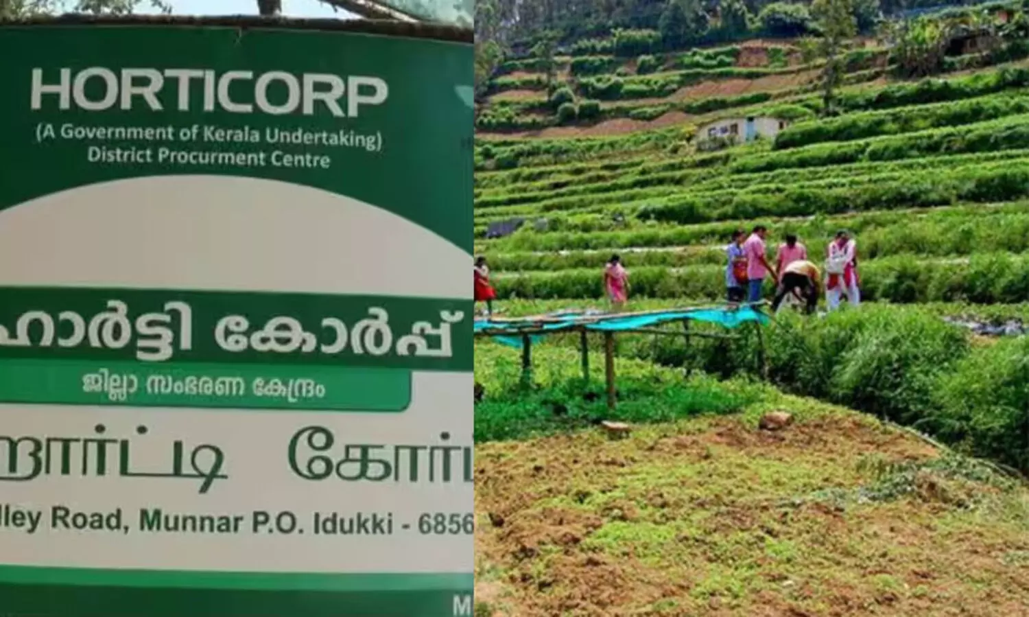 മരിച്ചയാളുടെ പേരിലും ബില്ലുണ്ടാക്കി ഹോര്‍ട്ടികോര്‍പ്പ് ഉദ്യോഗസ്ഥര്‍ പണം തട്ടിയെന്ന് വിജിലൻസ്