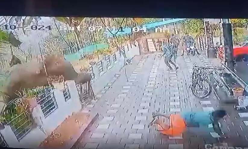 മാനന്തവാടിയിൽ കാട്ടാന ആക്രമണത്തിലെ മരണം: കർണാടക വനംവകുപ്പുമായി ബന്ധപ്പെടുന്നുണ്ടെന്ന് വനം മന്ത്രി