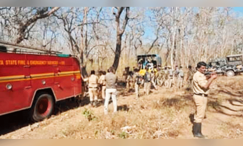 കാട്ടുതീ അണക്കുന്ന അഗ്നിശമന സേന (ഫയൽ ചിത്രം) കാട്ടുതീ അണക്കുന്ന അഗ്നിശമന സേന (ഫയൽ ചിത്രം)