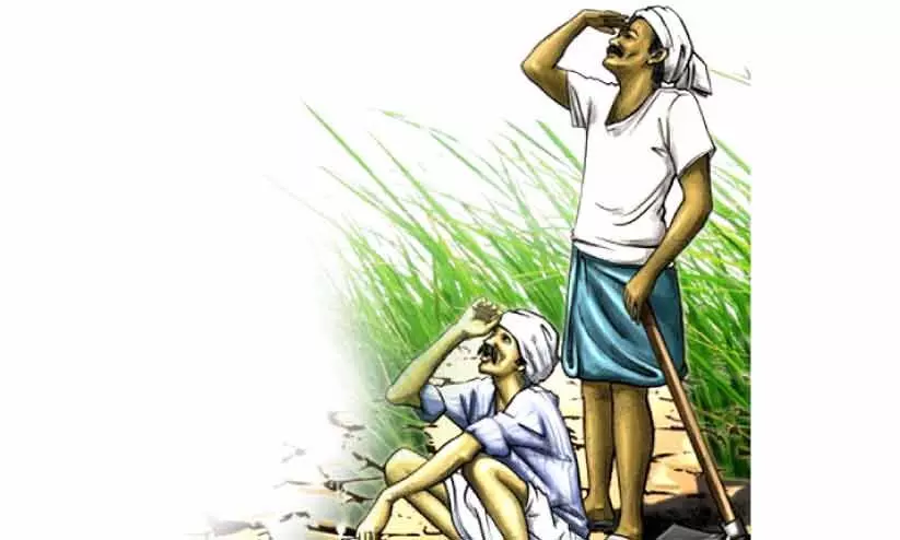 വെയിൽ കത്തുന്നു​;  കാർഷിക മേഖല വാടും