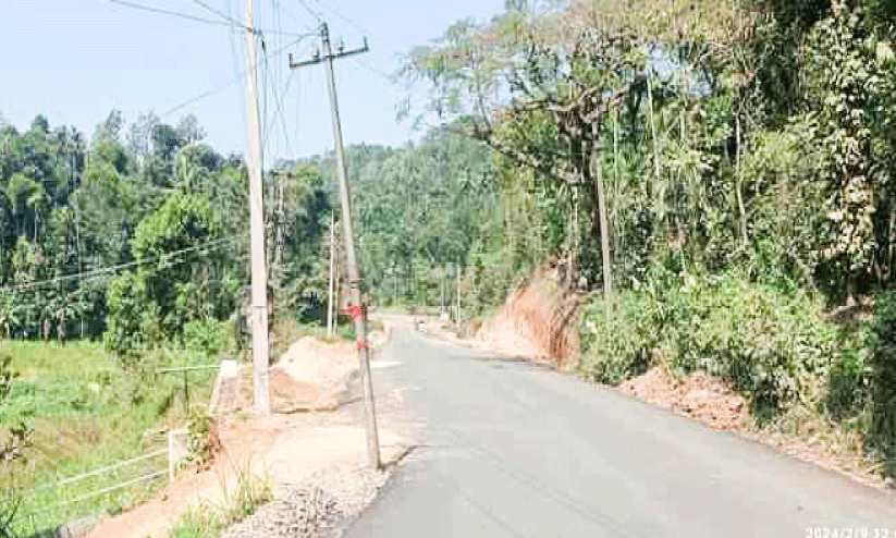 വ​ഴി​മു​ട​ക്കി​യാ​യ തൂ​ണു​ക​ൾ