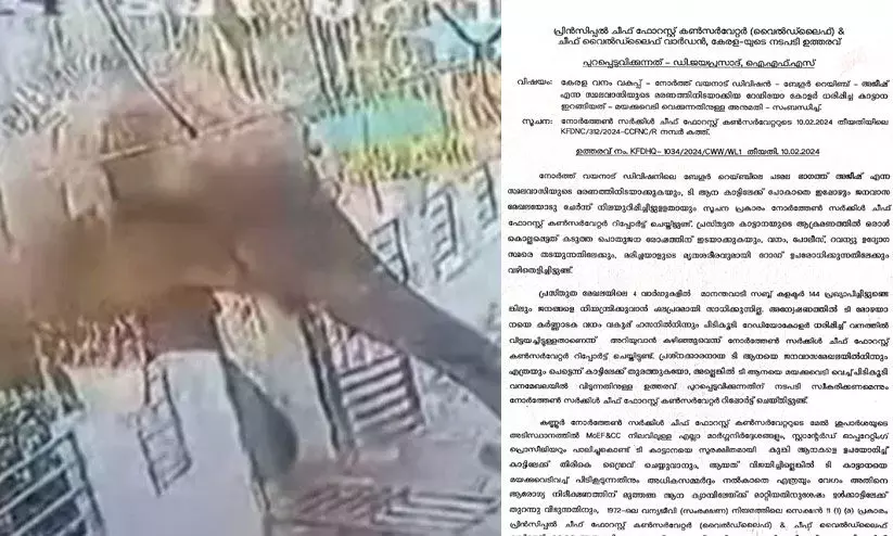 മാനന്തവാടിയിലെ ആനയെ മയക്കുവെടിവെക്കാൻ ഉത്തരവ് മാനന്തവാടിയിലെ ആനയെ മയക്കുവെടിവെക്കാൻ ഉത്തരവ്