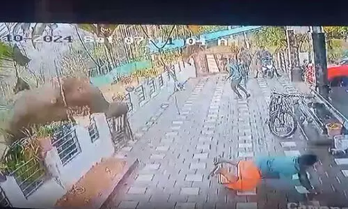 മാനന്തവാടിയിൽ കാട്ടാന ആക്രമണത്തിലെ മരണം: കർണാടക വനംവകുപ്പുമായി ബന്ധപ്പെടുന്നുണ്ടെന്ന് വനം മന്ത്രി