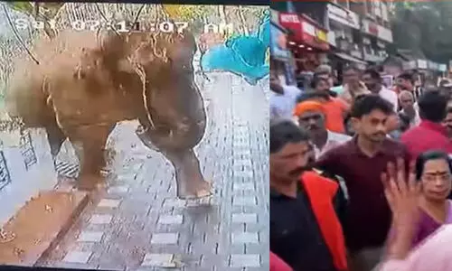 Wild Elephant attack Wild Elephant attack