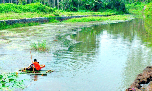 ബാലുശ്ശേരി മണ്ഡലത്തിലെ മഞ്ഞപ്പുഴ-രാമൻപുഴ പദ്ധതിയുടെ കീഴിൽ ടൂറിസം വികസനത്തിനൊരുങ്ങുന്ന കാട്ടാമ്പള്ളി പുഴയോരം