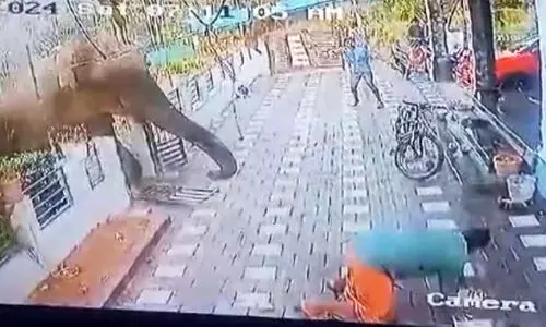 ആളെക്കൊല്ലിയായത് റേഡിയോ കോളർ ഘടിപ്പിച്ച മോഴയാന; അജീഷിനെ ആക്രമിച്ചത് ഞൊടിയിടയിൽ ആളെക്കൊല്ലിയായത് റേഡിയോ കോളർ ഘടിപ്പിച്ച മോഴയാന; അജീഷിനെ ആക്രമിച്ചത് ഞൊടിയിടയിൽ