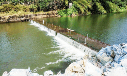 വാ​മ​ന​പു​രം ന​ദി​യി​ൽ പൂ​വ​മ്പാ​റ​യി​ൽ താ​ൽ​ക്കാ​ലി​ക ത​ട​യ​ണ നി​ർ​മാ​ണം ആ​രം​ഭി​ച്ച​പ്പോ​ൾ