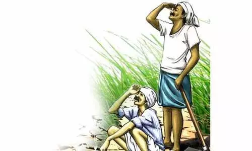 വെയിൽ കത്തുന്നു​;  കാർഷിക മേഖല വാടും