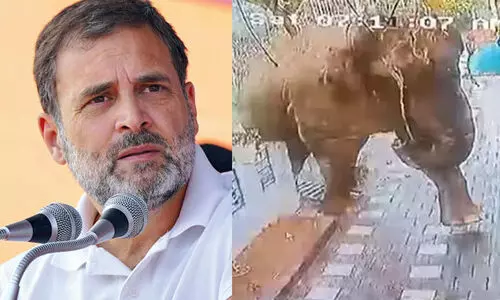 rahul gandhi rahul gandhi